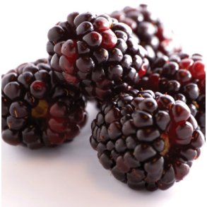 BROMBR (BOLSJEHUSET)