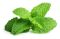 10 ML FLASKE