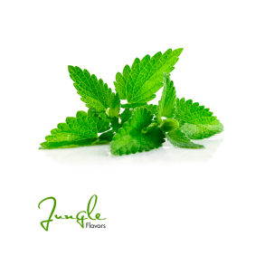 MINT JUNGLE FLAVOR