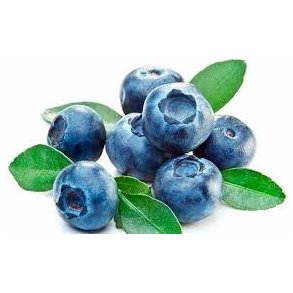 Blueberry