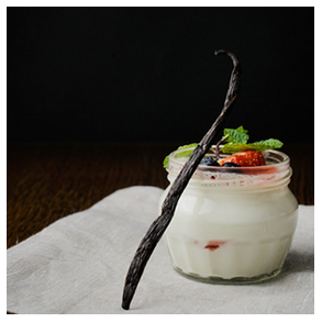 Panna Cotta 