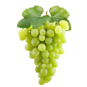 Grape