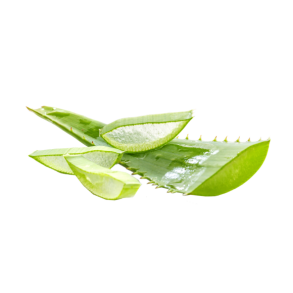 Aloe