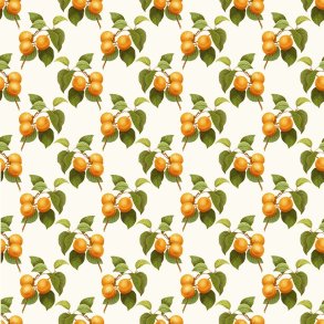 Apricot