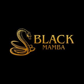 BLACK MAMBA (BOLSJEHUSET)