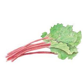 Rhubarb Decadent 