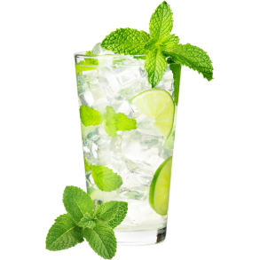 Gusto Mojito