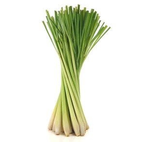 LEMONGRASS (BOLSJEHUSET)