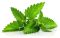 10 ML FLASKE