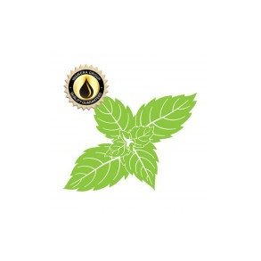 Menthol Aroma Inawera