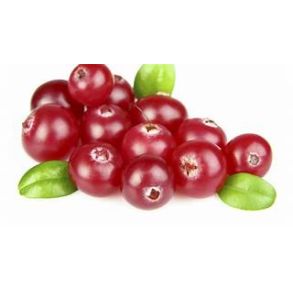 TRANEB�R (BOLSJEHUSET)